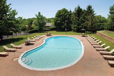 A large outdoor swimming pool surrounded by lounge chairs and trees.