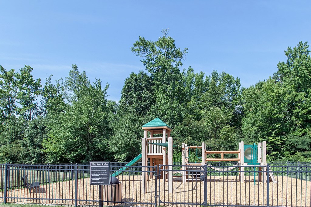 Play Area at Reserve at Bridford, North Carolina