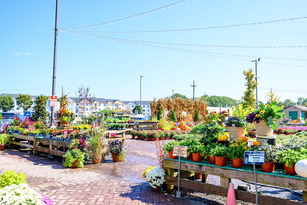 A garden center with a variety of plants for sale at Madison Prickett Preserve, Pennsylvania