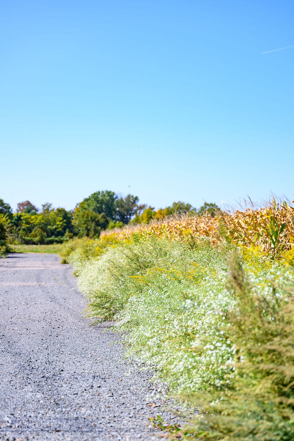 a view from the bottom of a spiral staircase against a blue sky at Madison Prickett Preserve, Pennsylvania