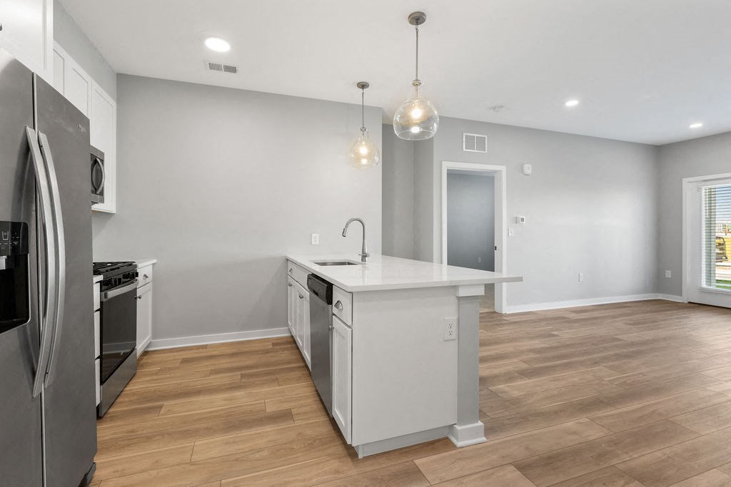 a pattern of pink and green molecules and lines at Madison Prickett Preserve, Yardley Pennsylvania