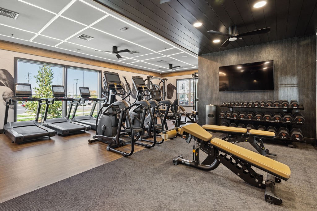 the gym has a slew of treadmills and other exercise equipment at Madison Prickett Preserve, Pennsylvania, 19067
