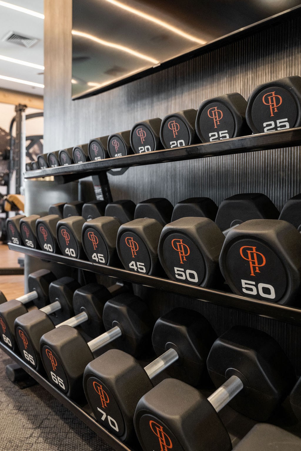 a rack of dumbbells in the gym at Madison Prickett Preserve, Yardley, PA