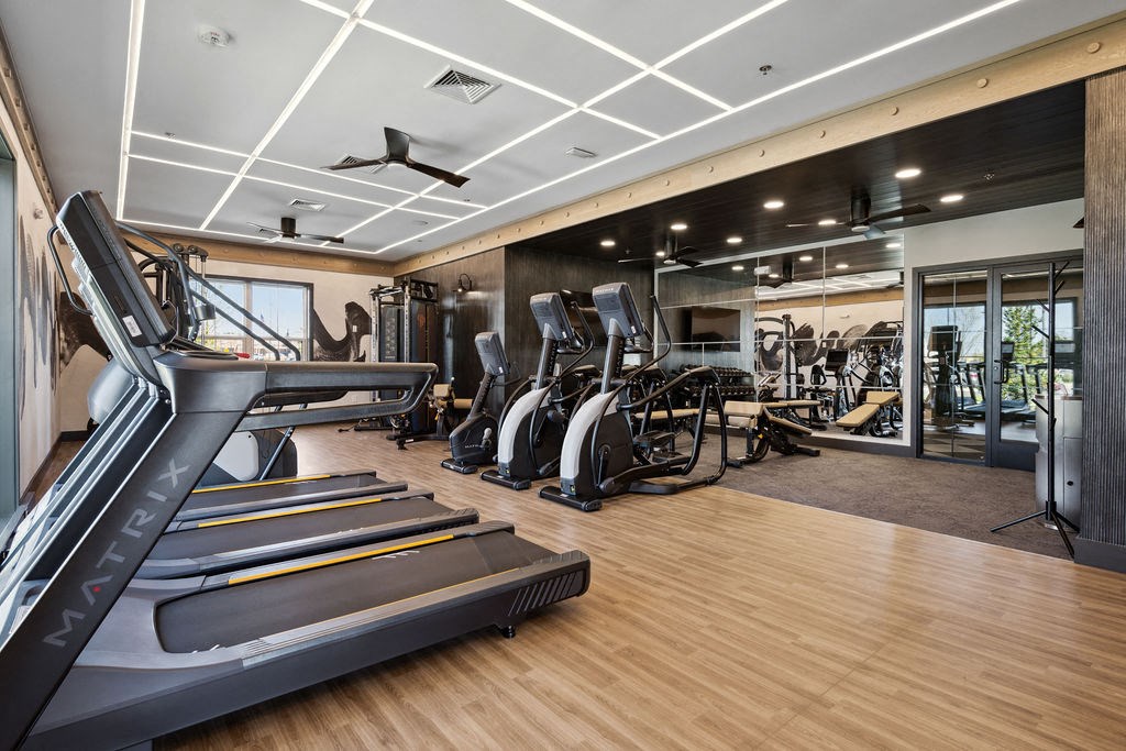 A gym with treadmills, elliptical machines, and other exercise equipment at Madison Prickett Preserve, Yardley Pennsylvania