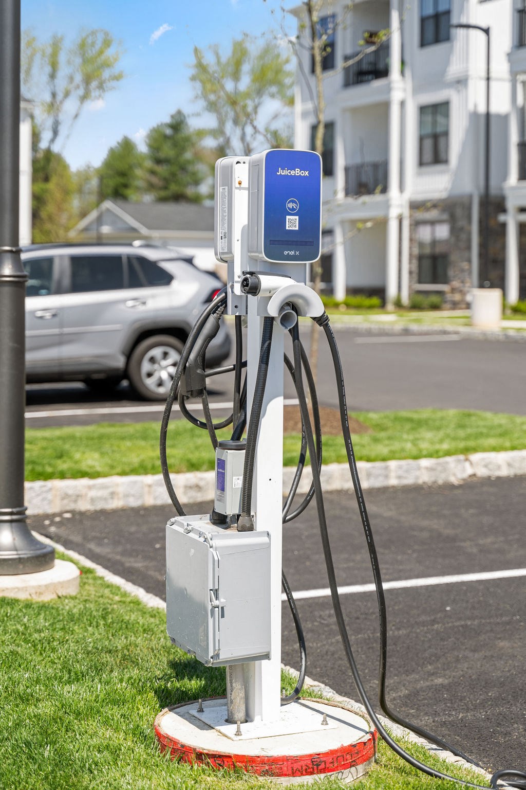 a large number of letters in a field of grass royalty free illustration at Madison Prickett Preserve, Yardley Pennsylvania