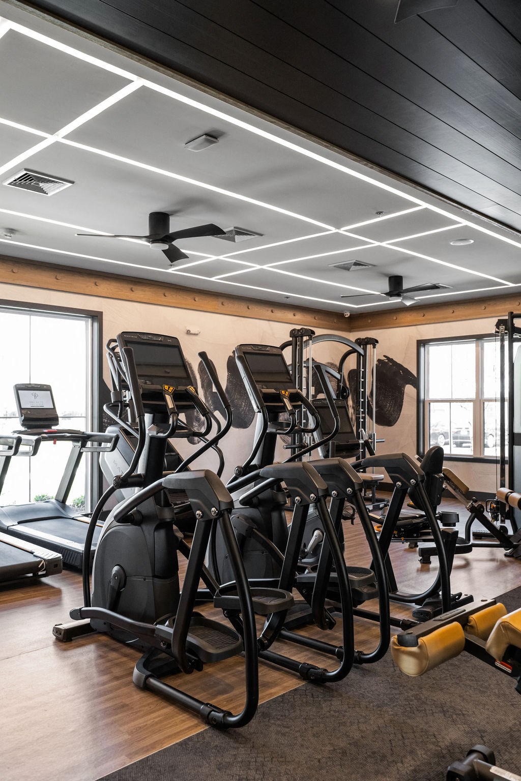 a row of exercise equipment in a gym at Madison Prickett Preserve, Pennsylvania, 19067