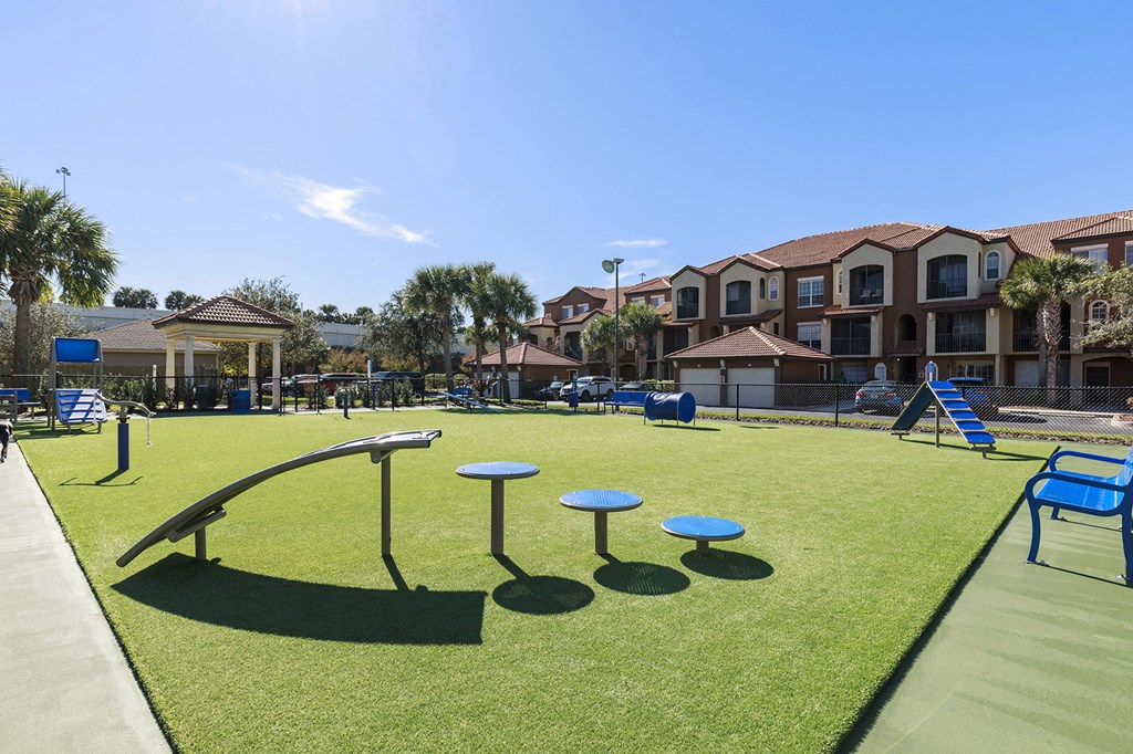 dog park with obstacles at Madison Gateway, Florida, 33716
