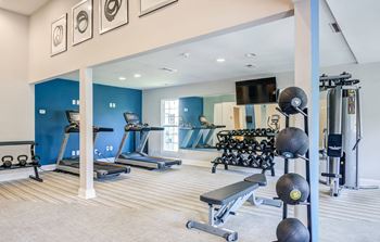 Fitness center with treadmills, TV, weights, and weighted balls
