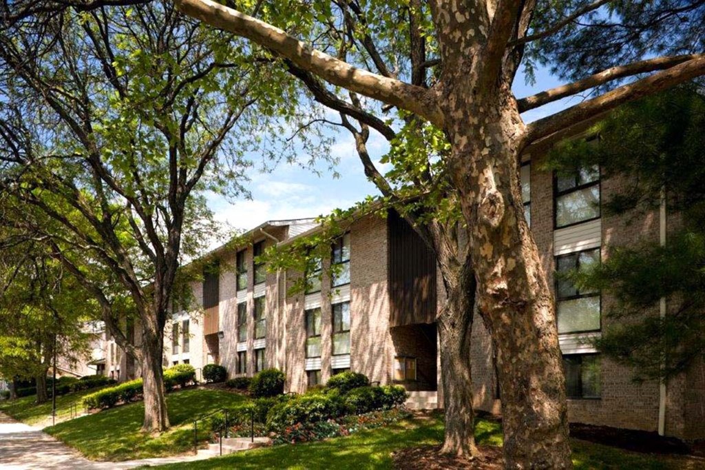 the building where the apartment is located