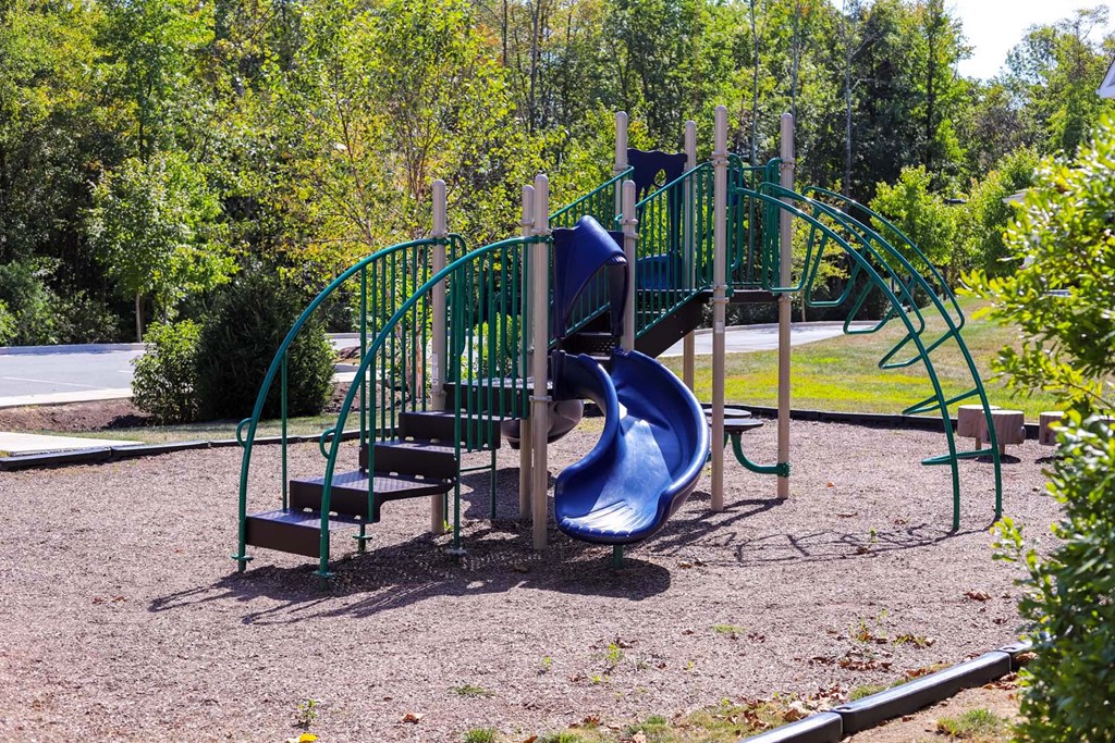 a playground with a blue slide in a park