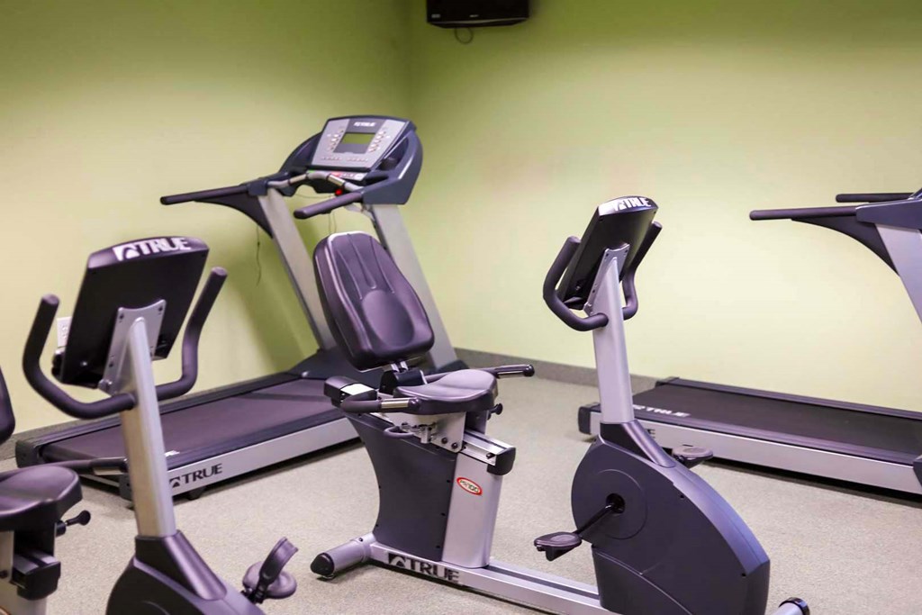 a row of exercise bikes in a gym