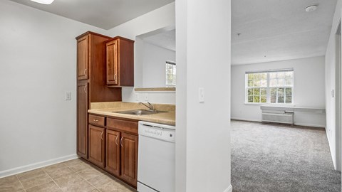 A kitchen with wooden cabinets and a white dishwasher.