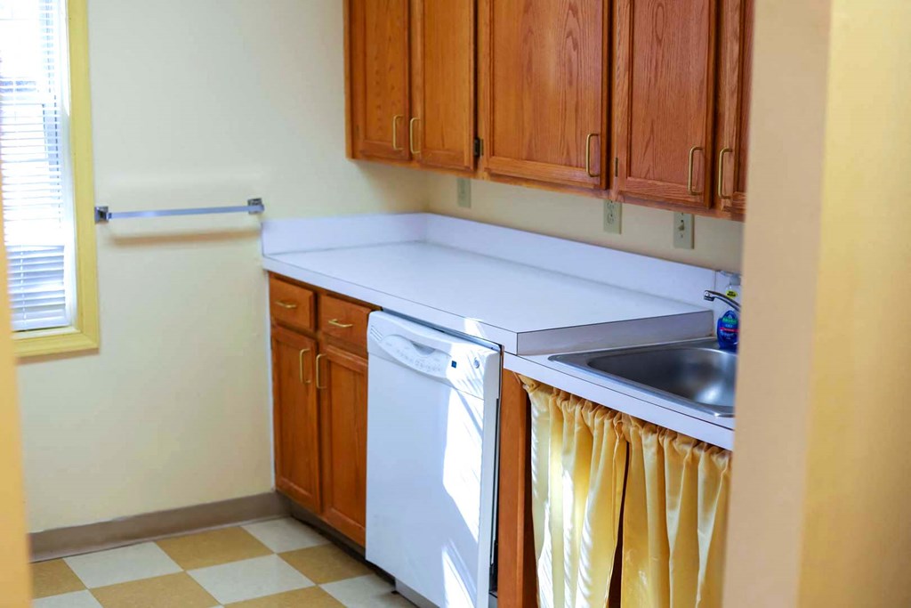 a kitchen with a sink and a dishwasher in it