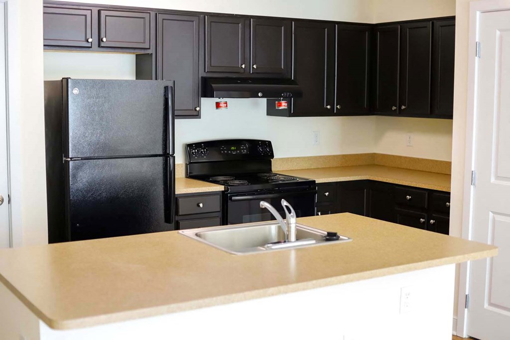 a kitchen with black appliances and black cabinets