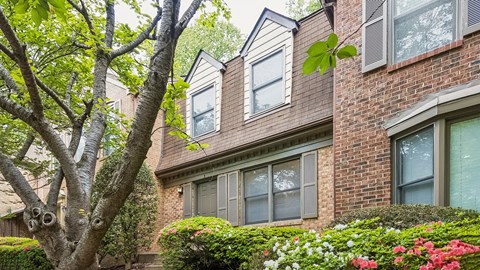 A tree with green leaves is in front of a brick house.