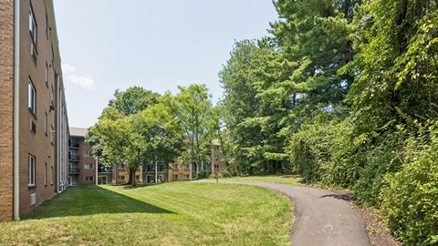 A pathway leads through a grassy area between two rows of trees and a brick building.