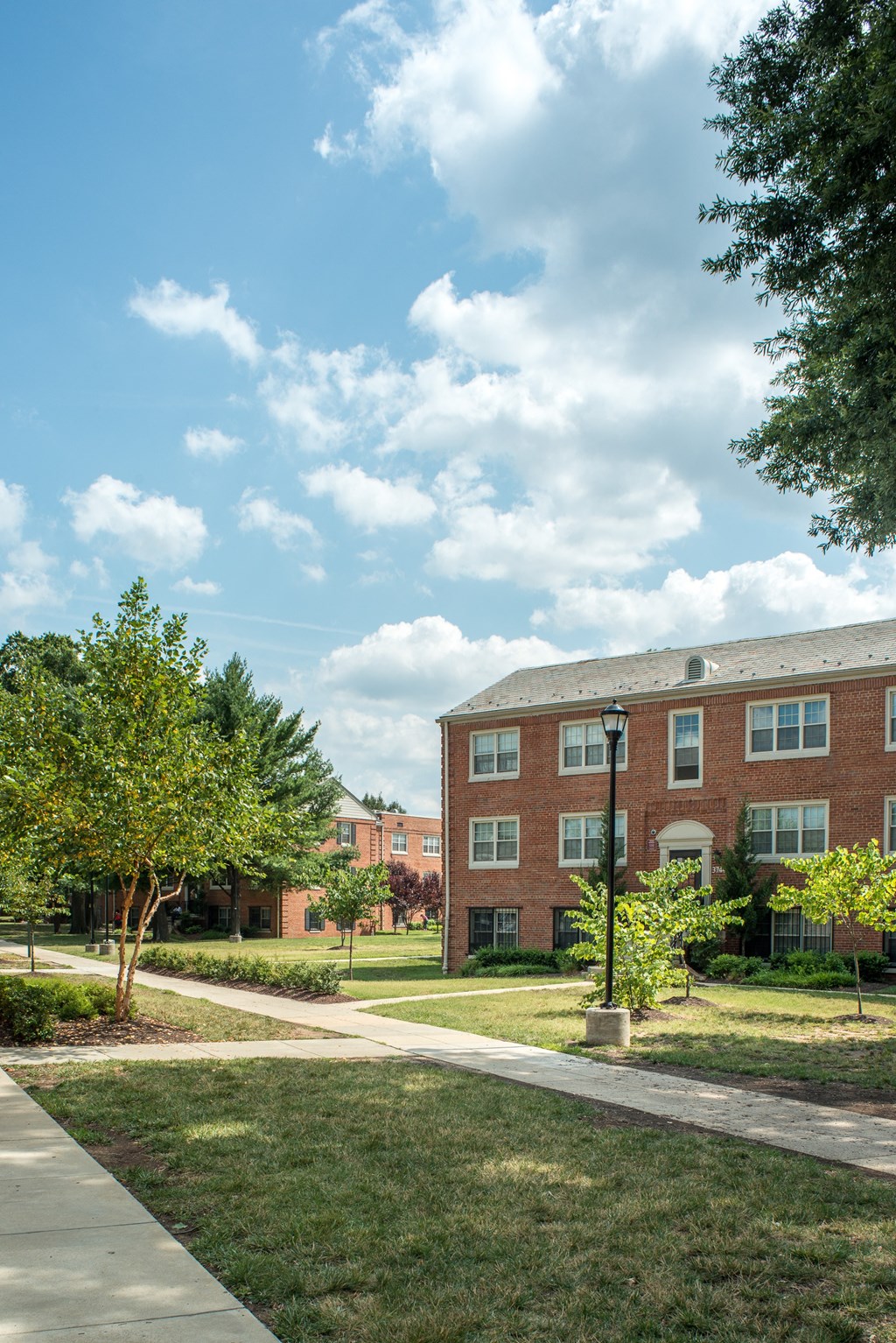 Sidewalk lined paths at Mayfair Mansions