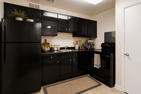 A black kitchen with a refrigerator, oven, and sink.