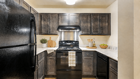 A black refrigerator is in a kitchen with wooden cabinets.