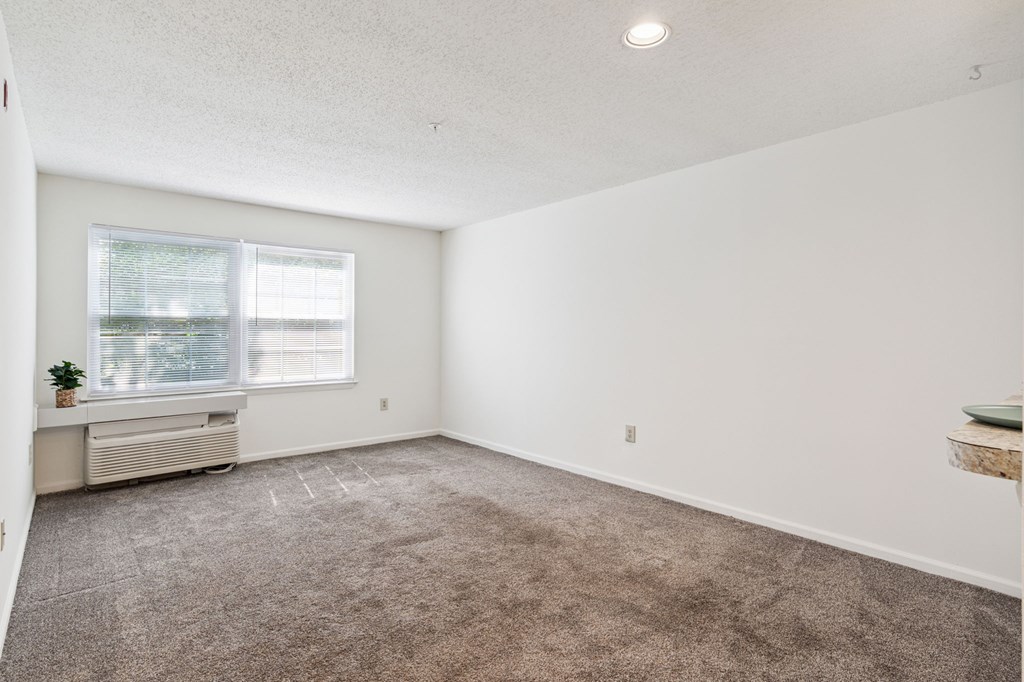 A room with a window and a carpeted floor.