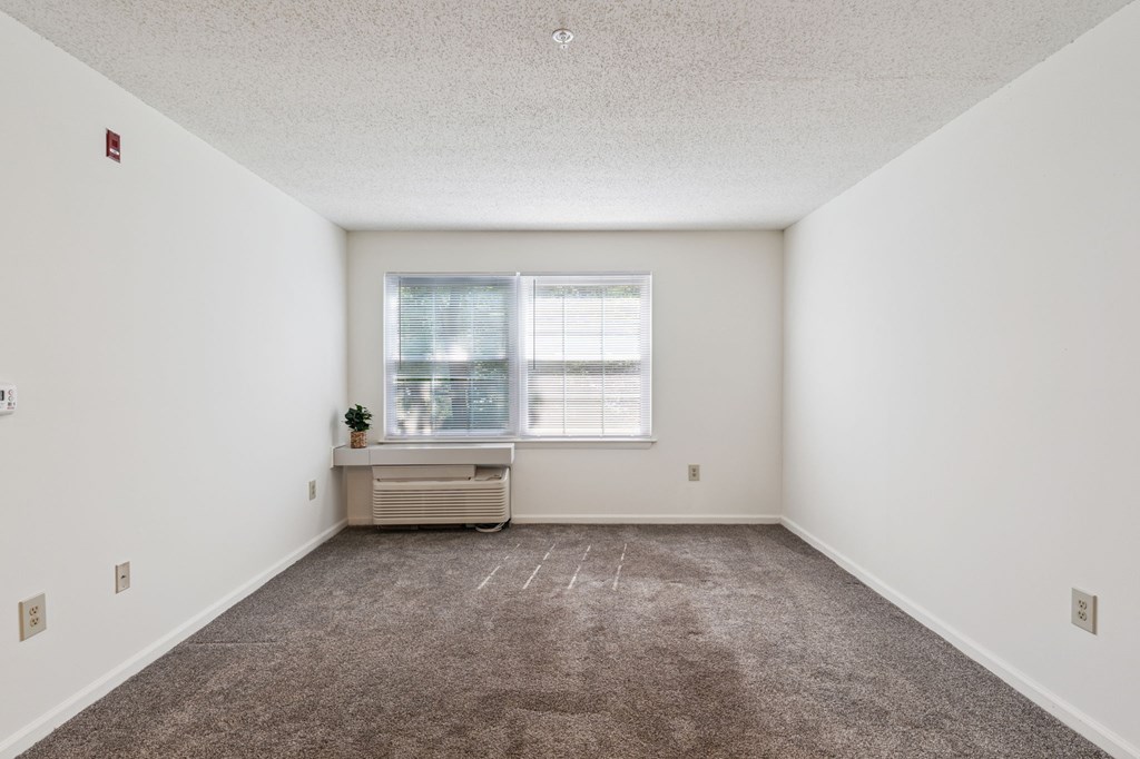 A room with a window and a small table with a plant on it.