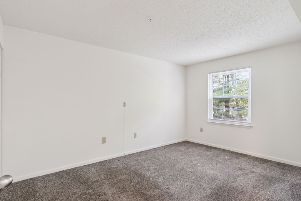 A room with a carpeted floor and a window showing a view of trees outside.