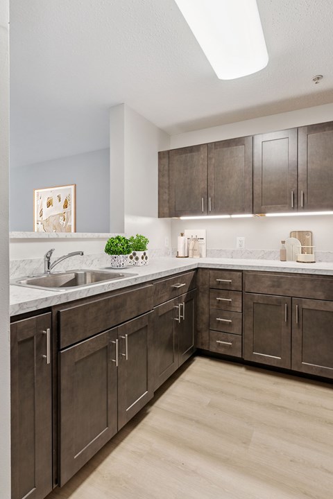 A kitchen with dark brown cabinets and a white sink.