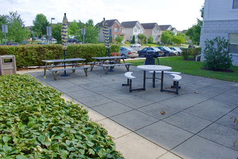 A side patio with a table and chairs surrounded by green bushes.