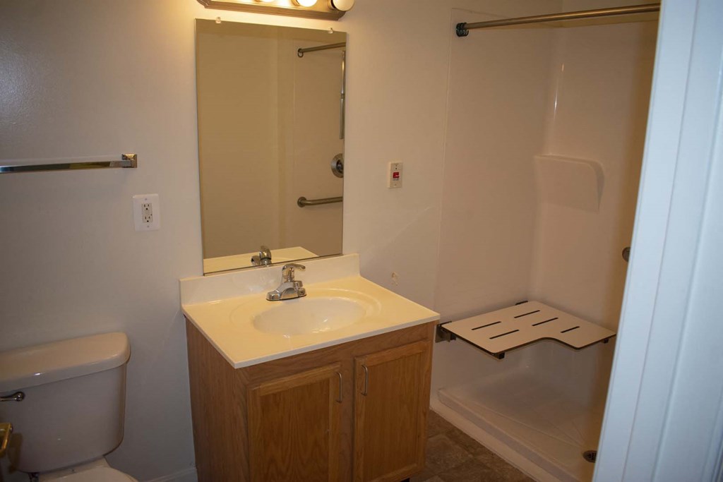 a bathroom with a sink and a shower and a toilet