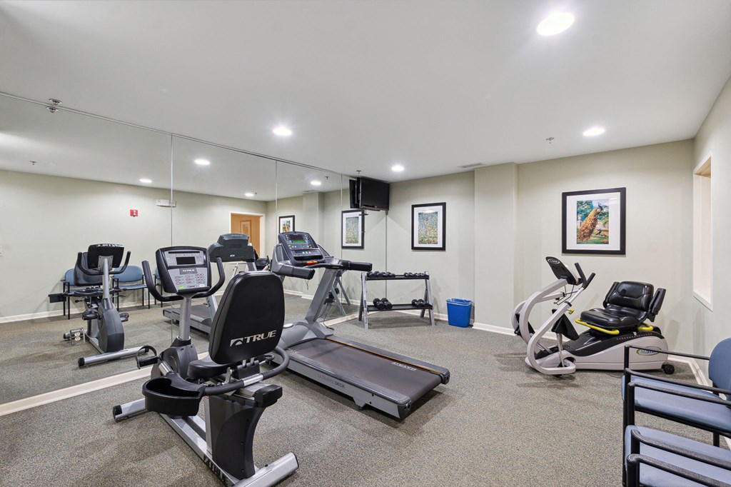 a gym with treadmills and other exercise equipment