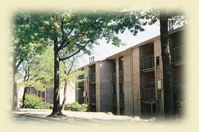 Shaded sidewalks at Randle Hill affordable apartment community located in Washington, DC