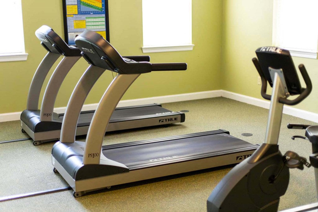 a row of treadmills in the gym at the resort at longboat