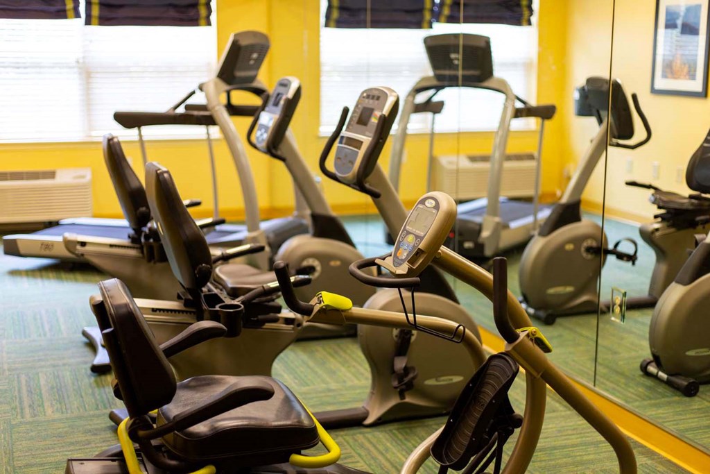 a row of exercise bikes in a gym