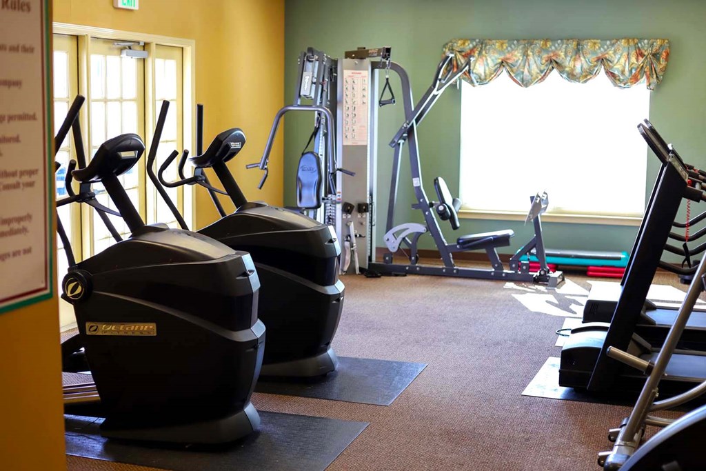 a gym with weights and cardio equipment in a home gym