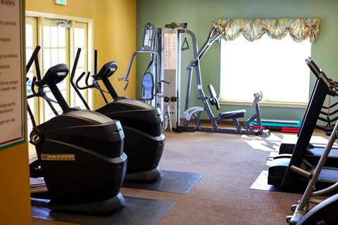 a gym with weights and cardio equipment in a home gym