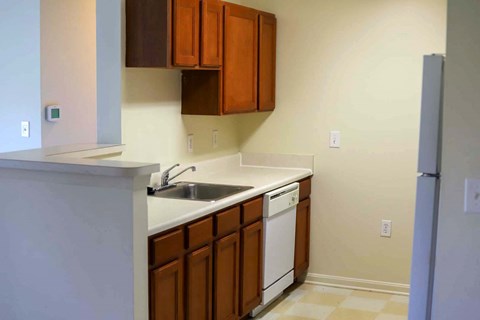 a kitchen with a sink and a dishwasher in a house