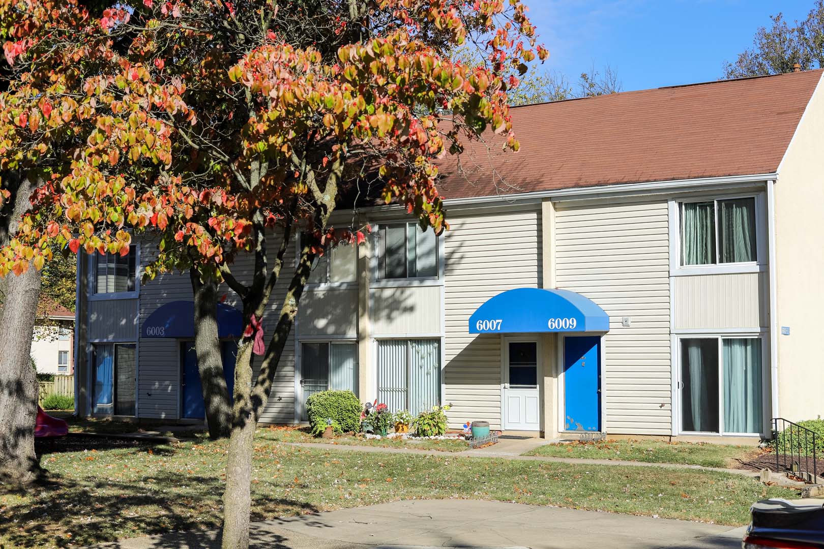 A tree with orange leaves in front of a building with a blue awning.
