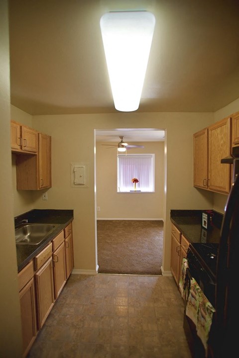 a kitchen with a sink and a stove and a ceiling light