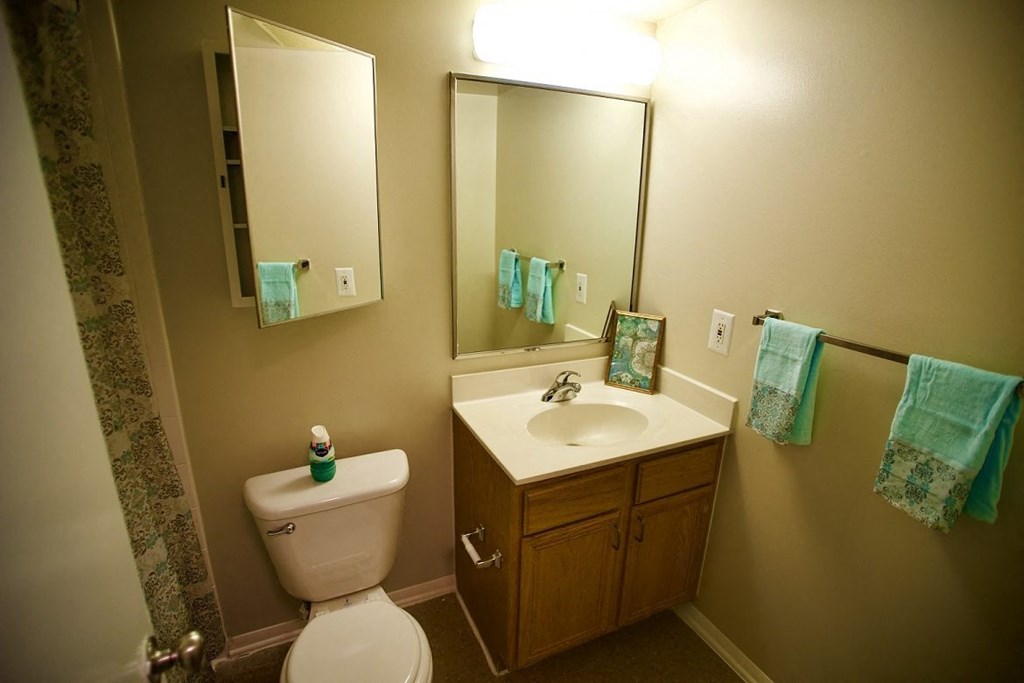 a bathroom with a sink toilet and a mirror