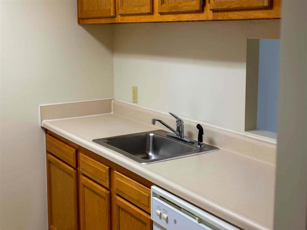 a kitchen with a sink and a dishwasher and wooden cabinets