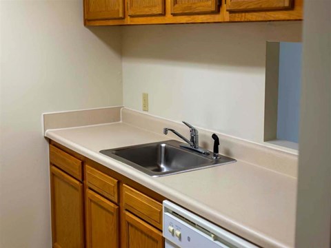 a kitchen with a sink and a dishwasher and wooden cabinets