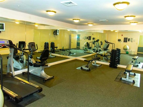 a gym with weights and mirrors on the floor and a pool