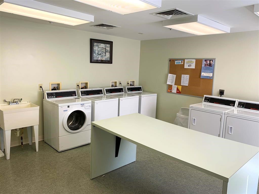 a washer and dryer room with a row of washing machines