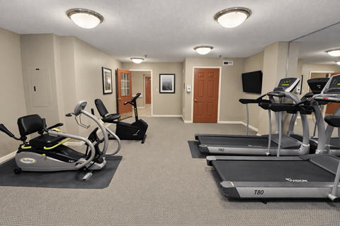 A gym with treadmills and exercise bikes.