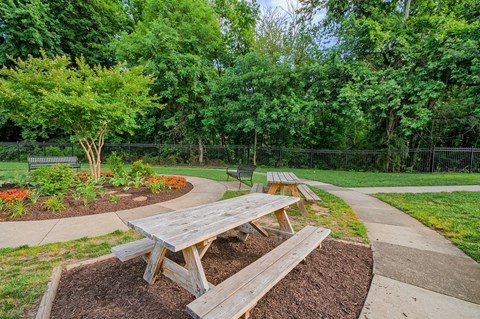 two picnic tables in a park with trees