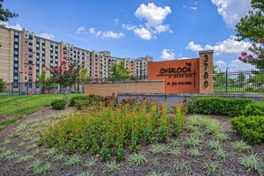 3700 9Th Street, SE 1-2 Beds Apartment for Rent Photo Gallery 1