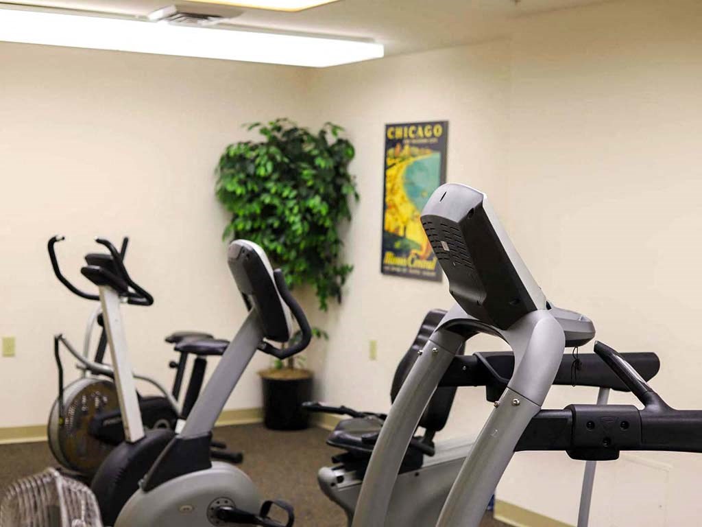 a row of exercise bikes in a gym