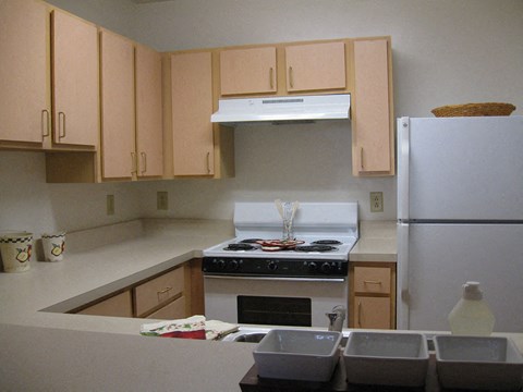 a kitchen with a stove and a refrigerator