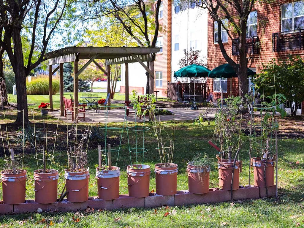 a group of potted plants in front of a garden