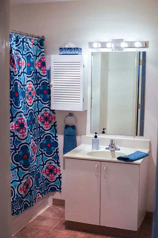 a bathroom with a sink and a shower and a mirror